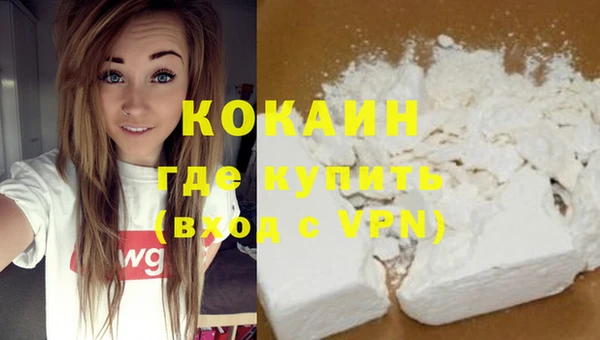 стаф Покачи