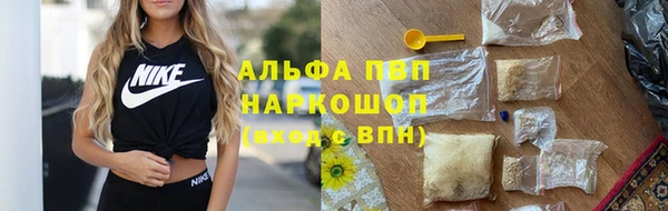 стаф Покачи