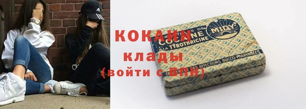 стаф Покачи