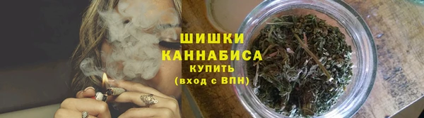 гидра Новочеркасск