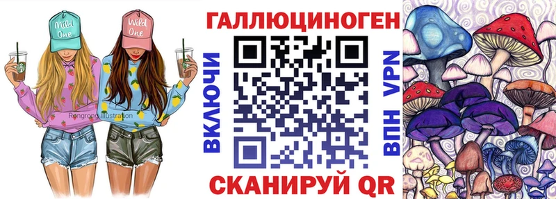 гидра зеркало  купить наркоту  Александров  Галлюциногенные грибы мухоморы 