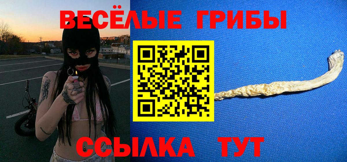Александров  Псилоцибиновые грибы MAGIC MUSHROOMS  Галлюциногенные грибы Psilocybine cubensis  купить  цена  Вход с VPN 